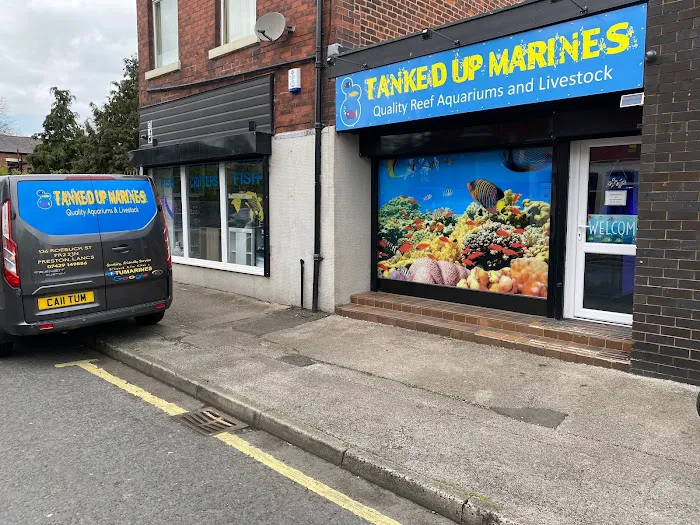 Tanked Up Marines Picture 10