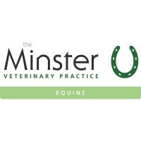 Minster Equine Practice, Poppleton ico