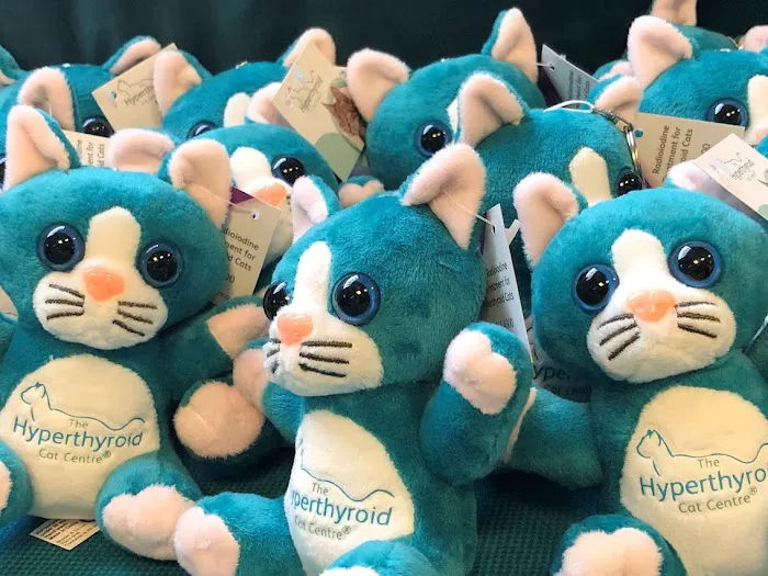 Hyperthyroid Cat Centre Picture 2