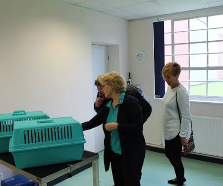 Hyperthyroid Cat Centre