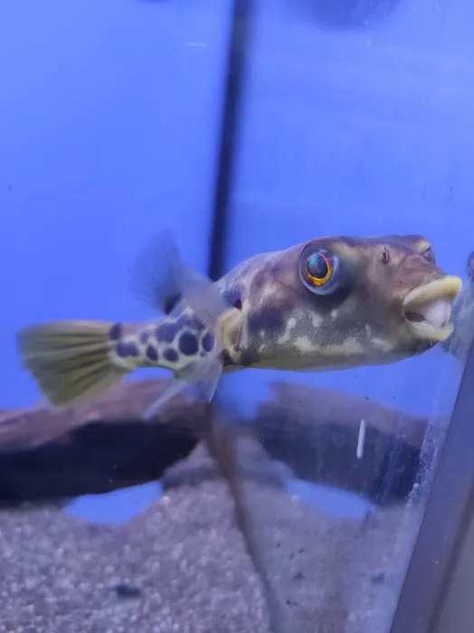 The Aquarium People Picture 2