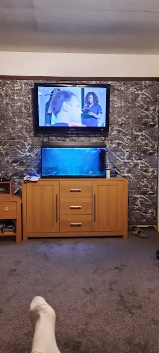 The Aquarium People Picture 7