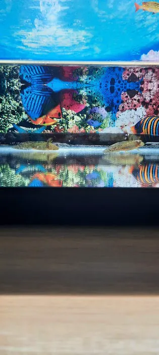 The Aquarium People Picture 8