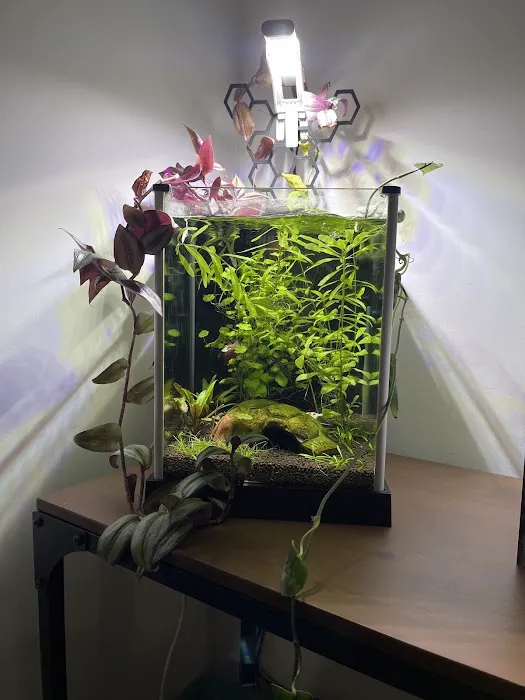 The Aquarium People Picture 1