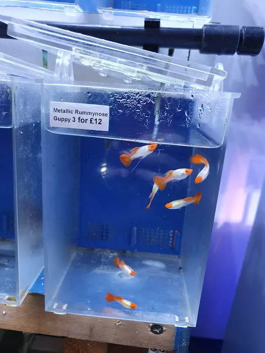 The Aquarium People Picture 9