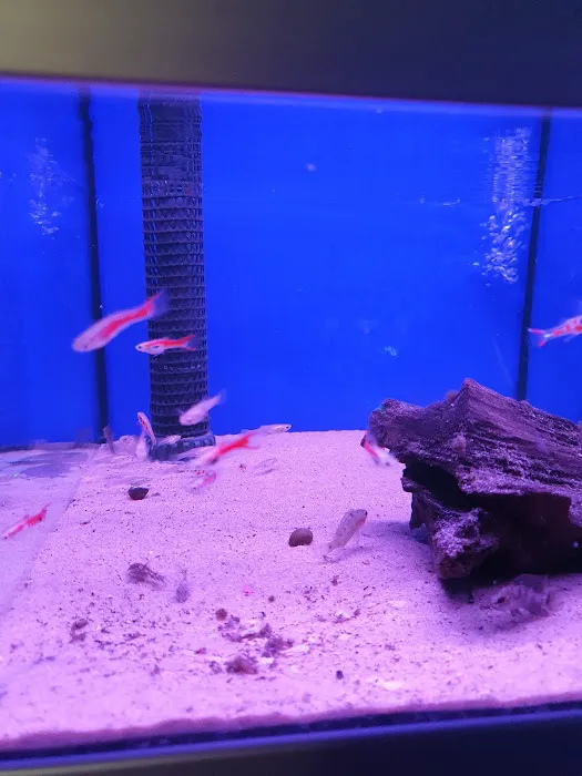 The Aquarium People Picture 10