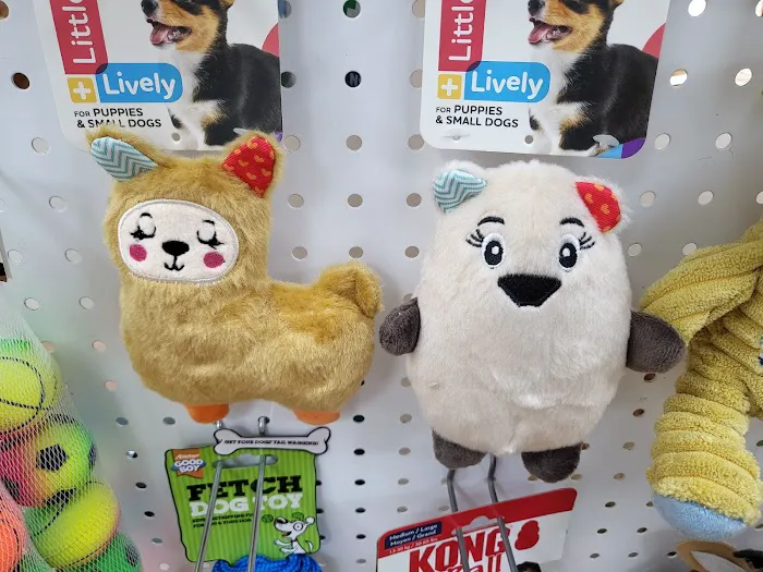 Tails of the Town Picture 1