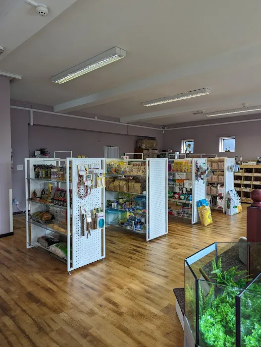 Tails of the Town Picture 3