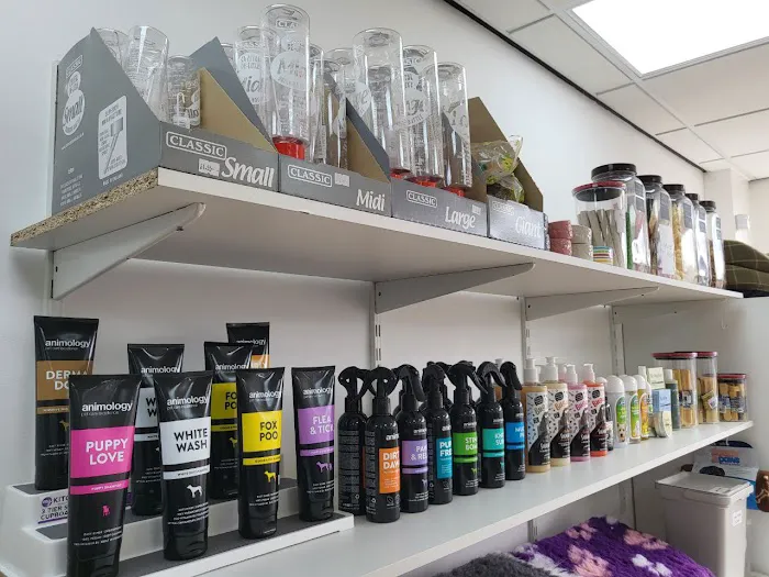 Tails of the Town Picture 10