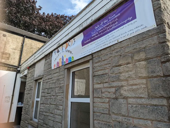 Tails of the Town Picture 6