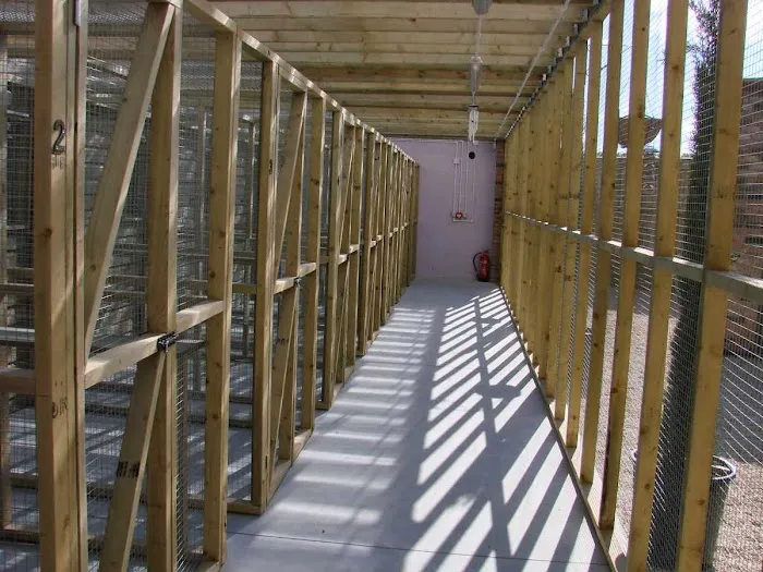 South View Cattery Picture 4
