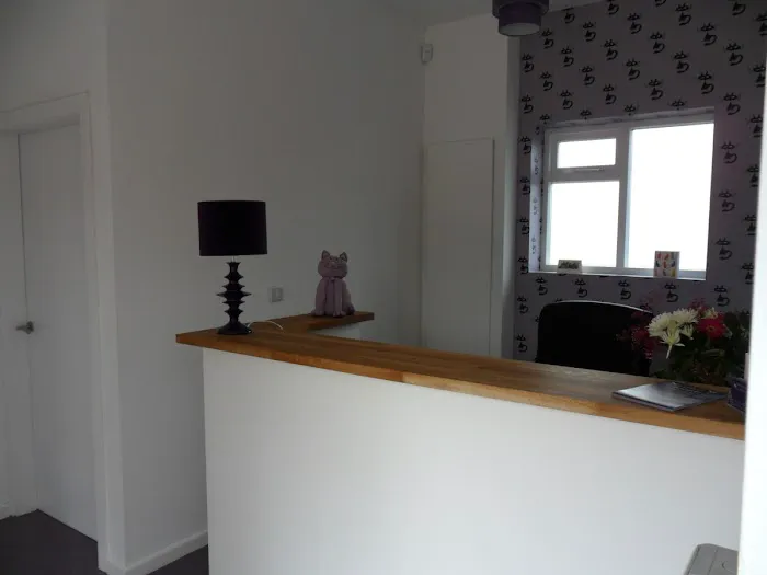 South View Cattery Picture 2