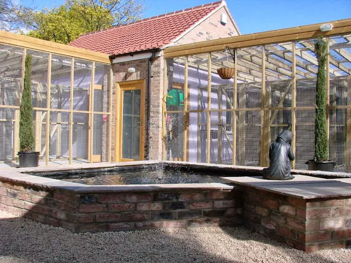 South View Cattery Picture 10