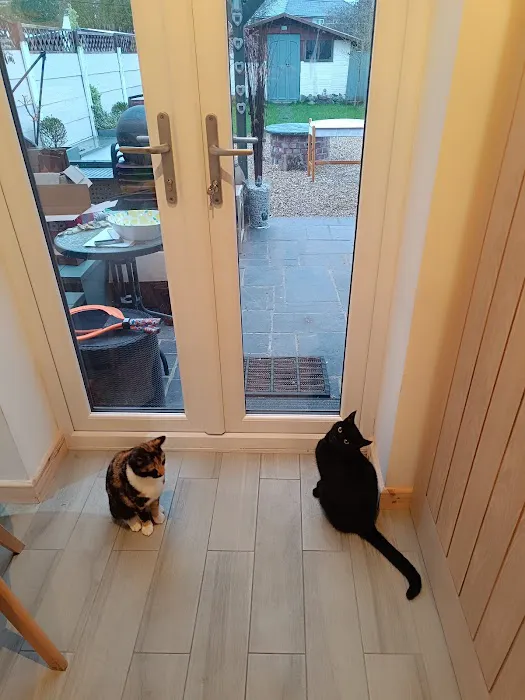 Pets at Home Preston Capitol Picture 7