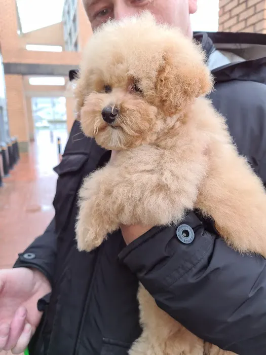 Pets at Home Preston Capitol Picture 8