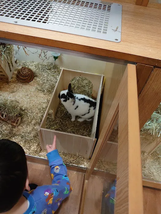 Pets at Home Preston Capitol Picture 9