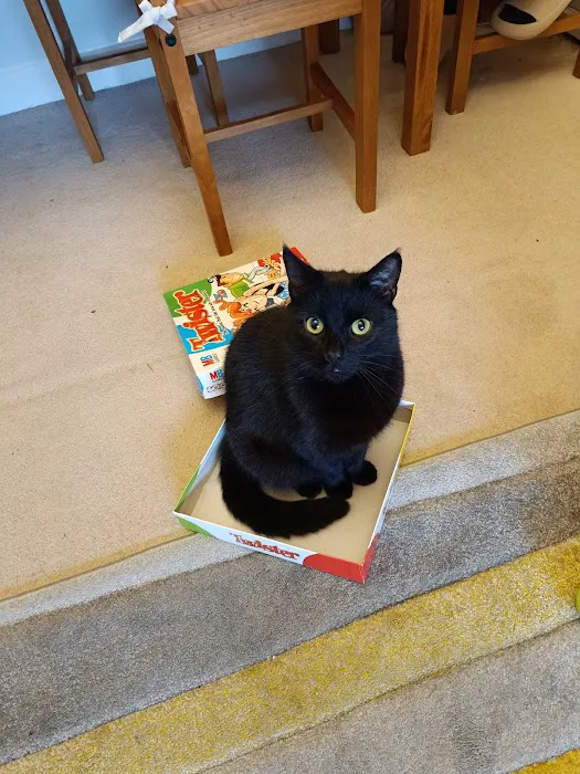 Pets at Home Preston Capitol Picture 6