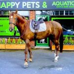 Happy Pets & Aquatics