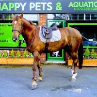 Happy Pets & Aquatics ico