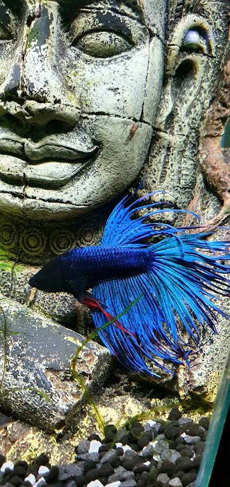 Happy Pets & Aquatics Picture 10