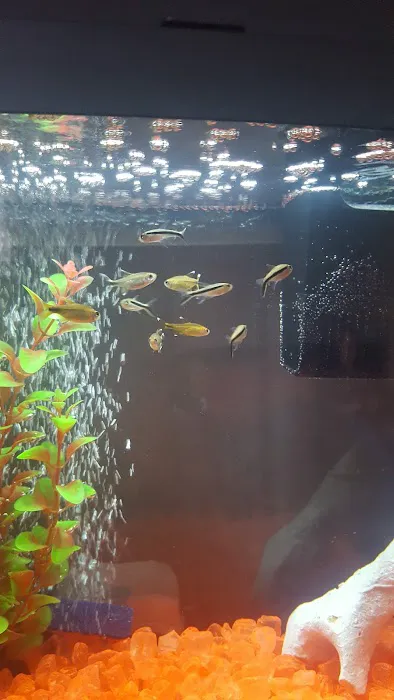 Happy Pets & Aquatics Picture 9