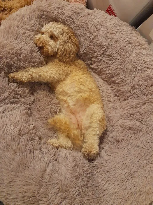 Happy Pets & Aquatics Picture 5