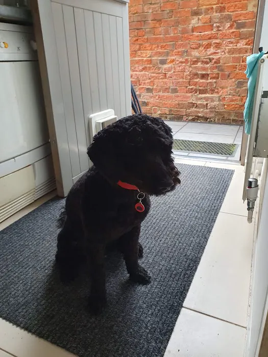 Tower Veterinary Group, Acomb Surgery Picture 2