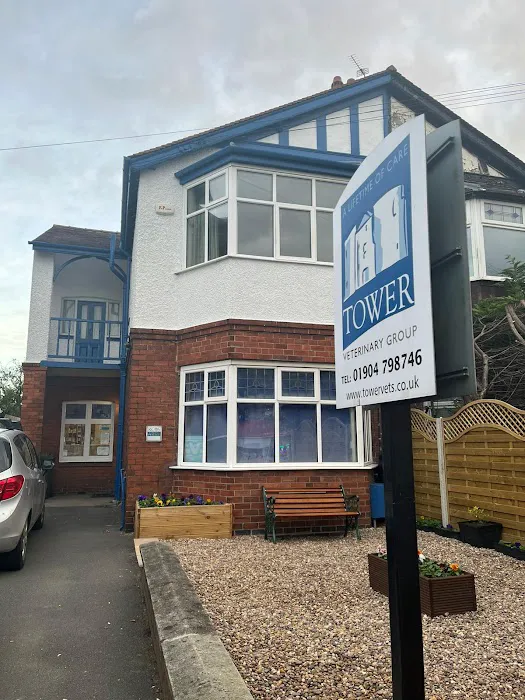Tower Veterinary Group, Acomb Surgery Picture 6