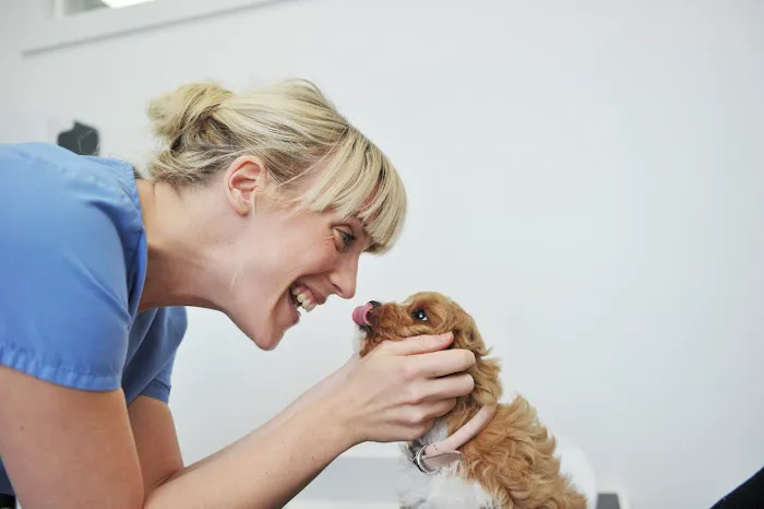 Westwood Veterinary Practice Picture 3