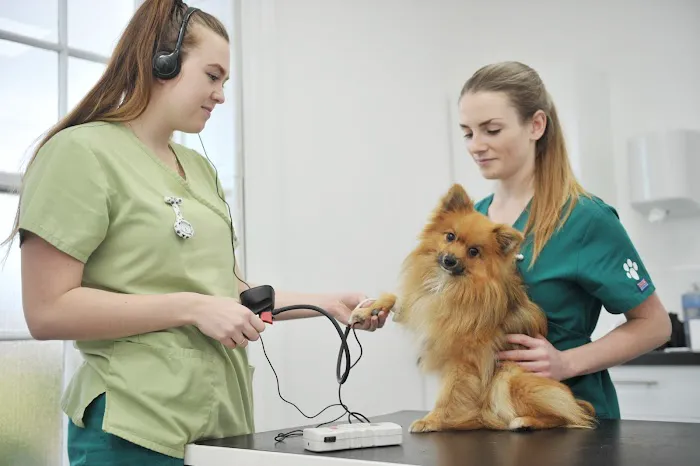Westwood Veterinary Practice Picture 2