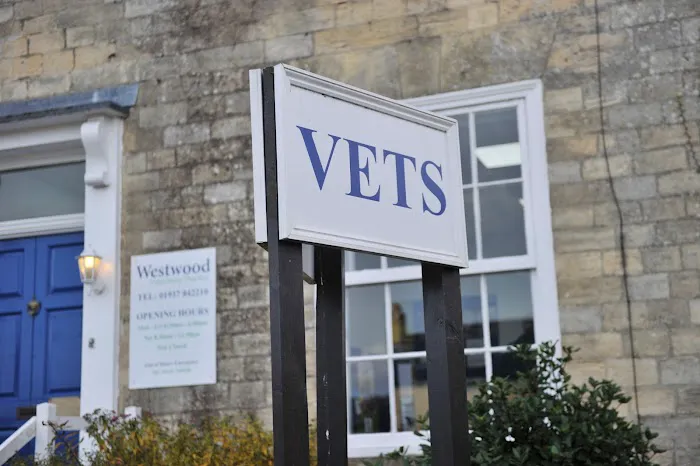Westwood Veterinary Practice Picture 7