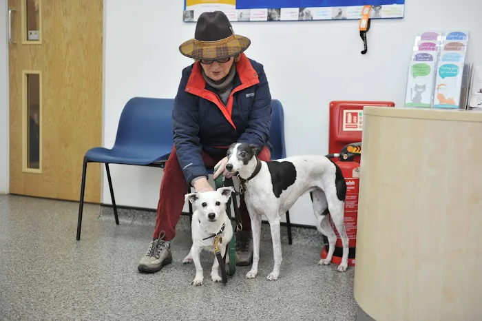 Westwood Veterinary Practice Picture 10
