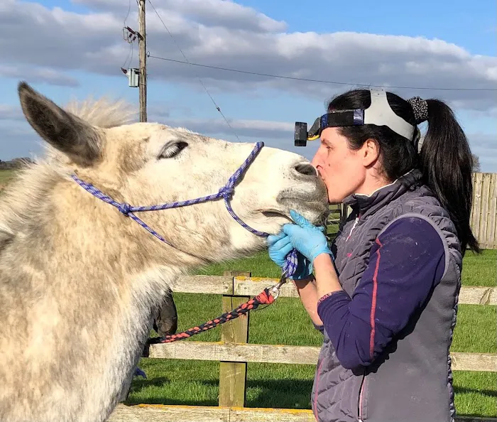 Yorkshire Equine Dentistry - Sam Norris BAEDT Qualified Picture 6