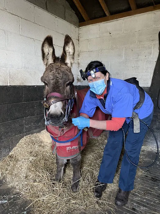 Yorkshire Equine Dentistry - Sam Norris BAEDT Qualified Picture 7