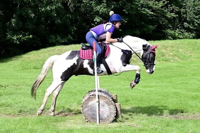 Yorkshire Equine Dentistry - Sam Norris BAEDT Qualified Picture 8