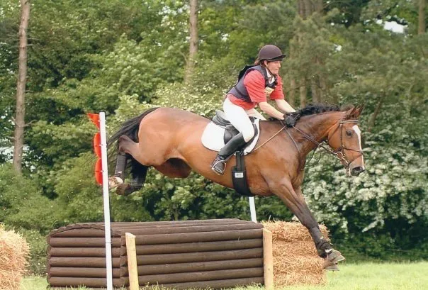Yorkshire Equine Dentistry - Sam Norris BAEDT Qualified Picture 10