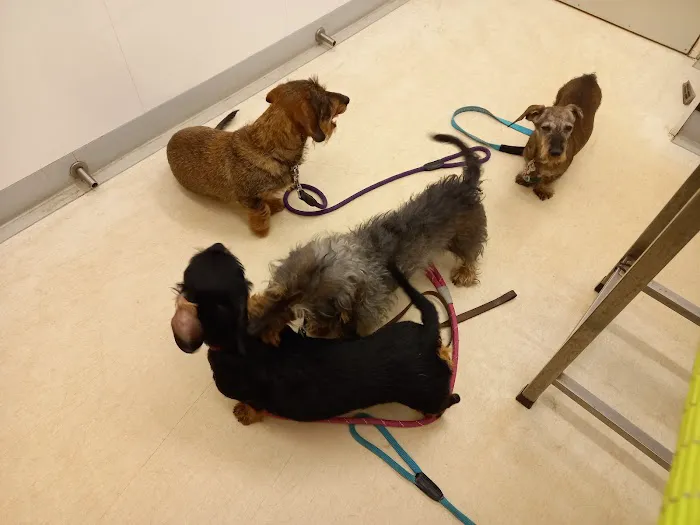 Parkhill Veterinary Surgery Picture 7