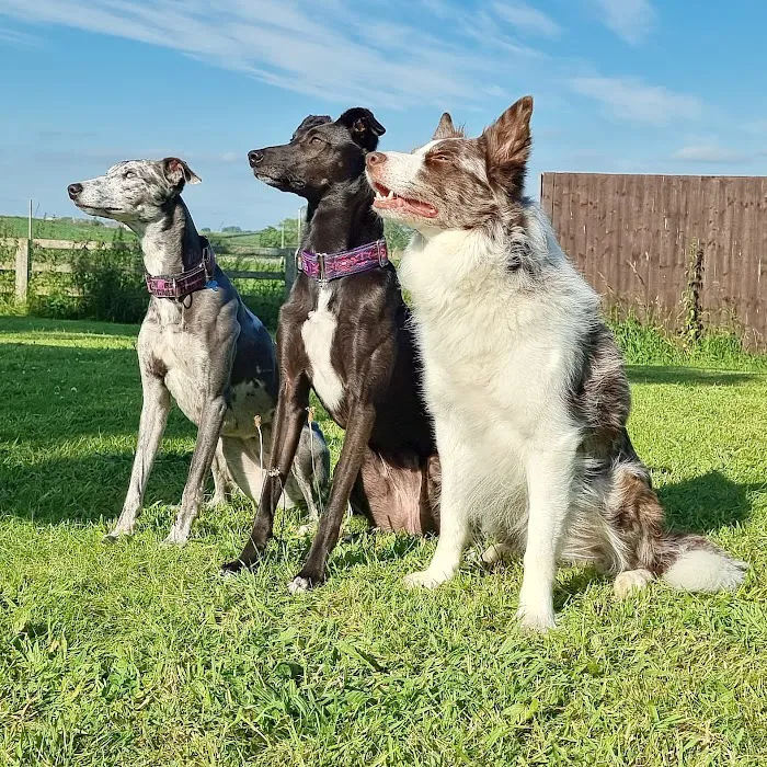 Sandbeck Veterinary Centre Picture 7