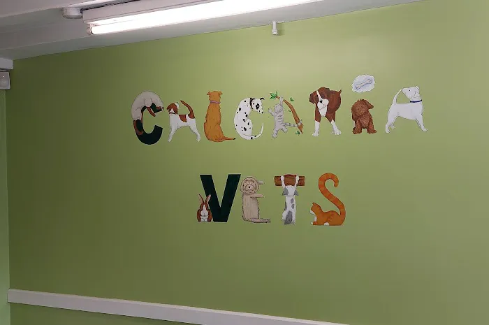 Calcaria Veterinary Practice Picture 2