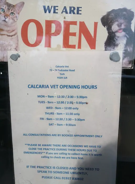 Calcaria Veterinary Practice Picture 1