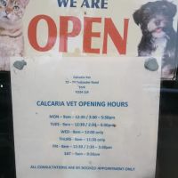 Calcaria Veterinary Practice ico