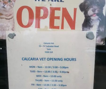 Calcaria Veterinary Practice