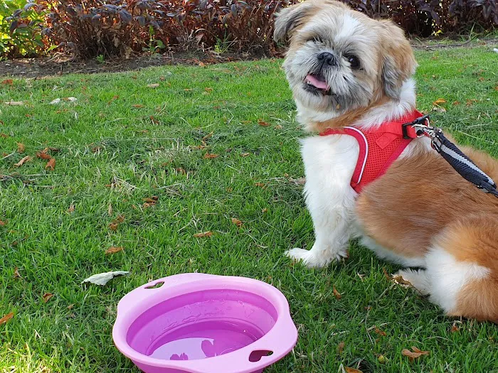 Vets4Pets - Lytham Picture 9