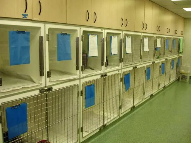 The Veterinary Health Centre Ltd Picture 4