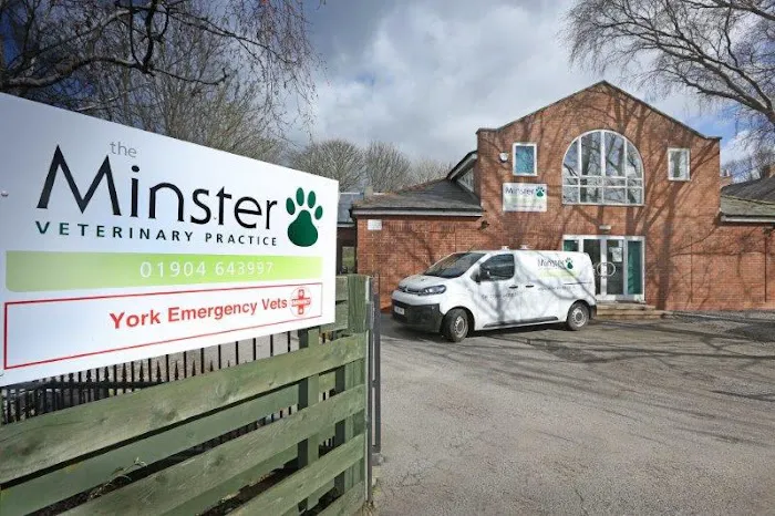 The Minster Veterinary Practice, Salisbury Road Picture 7