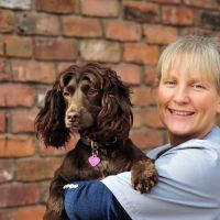 VetPartners, York ico