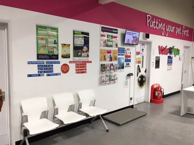 Vets4Pets York Clifton Moor Picture 1