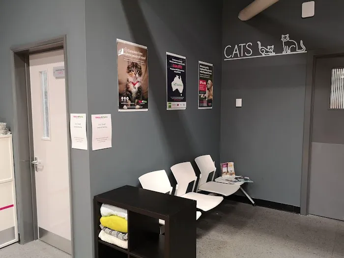 Vets4Pets York Clifton Moor Picture 4