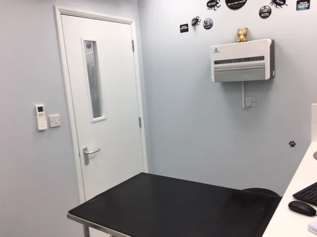 Vets4Pets York Clifton Moor Picture 2