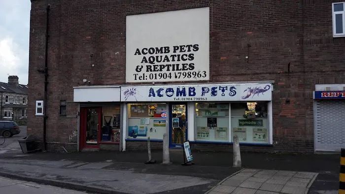 Acomb Pets Aquatics & Reptiles Picture 9